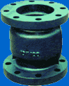 lift check valve Cl-01